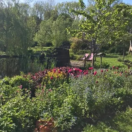 Reijgershof Bed & Breakfast *